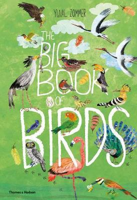 Yuval Zommer | The Big Book of Birds | 9780500651513 | Daunt Books