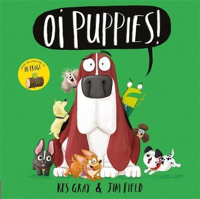 Kes Gray and Jim Field | Oi Puppies | 9781444937350 | Daunt Books
