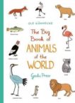 Ole Konnecke | The Big Book of Animals of the World | 9781776570126 | Daunt Books