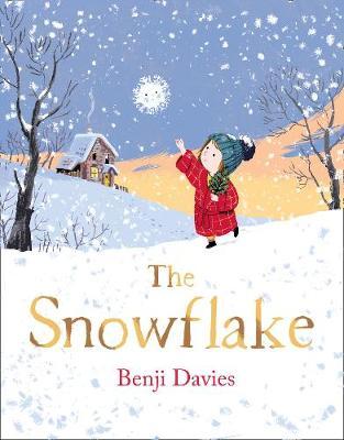 Benji Davies | Snowflake | 9780008212810 | Daunt Books