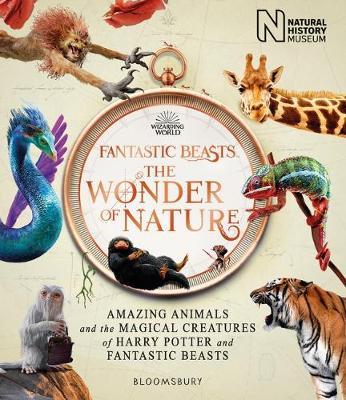 Natural History Museum | Fantastic Beasts The Wonder of Nature | 9781526624031 | Daunt Books
