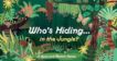 Caroline Selmes | Whose Hiding in the Jungle: A Spot and Match Game | 9781786276568 | Daunt Books