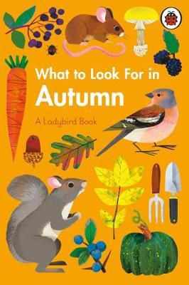 Elizabeth Jenner | What to Look for in Autumn | 9780241416167 | Daunt Books