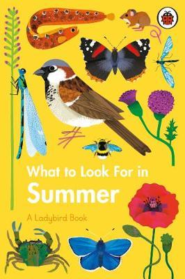 Elizabeth Jenner | What to Look for in Summer | 9780241416204 | Daunt Books