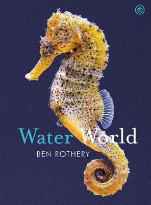 Ben Rothery | Water World | 9780241435533 | Daunt Books