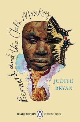 Judith Bryan | Bernard and the Cloth Monkey | 9780241482681 | Daunt Books