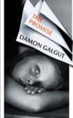 Damon Galgut | The Promise | 9781784744069 | Daunt Books