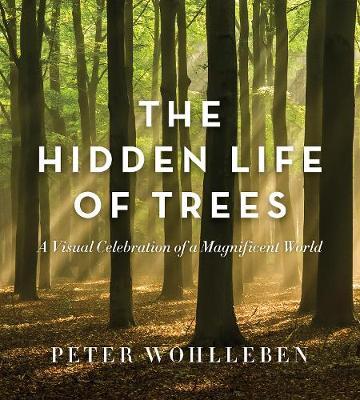 The Hidden Life of Trees: The Illustrated Edition