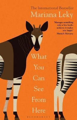 Mariana Leky | What You Can See From Here | 9781526638540 | Daunt Books