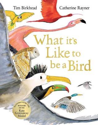 Tim Birkhead and Catherine Rayner | What It's Like to Be a Bird | 9781526604125 | Daunt Books