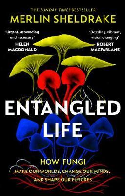 Merlin Sheldrake | Entangled Life | 9781784708276 | Daunt Books