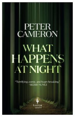 Peter Cameron | What Happens at Night | 9781787703216 | Daunt Books