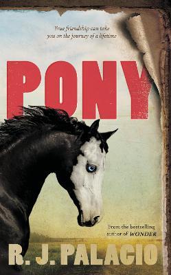 R J Palacio | Pony | 9780141377056 | Daunt Books
