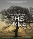 Adrian Houston | A Portrait of the Tree | 9781529412581 | Daunt Books