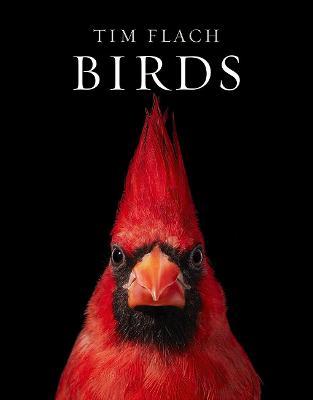 Tim Flach | Birds | 9781419747618 | Daunt Books