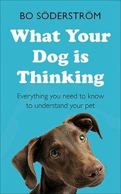 Bo Soderstrom | What Your Dog is Thinking | 9781473688377 | Daunt Books