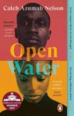Caleb Azumah Nelson | Open Water | 9780241448786 | Daunt Books