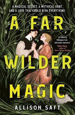 Allison Saft | A Far Wilder Magic | 9781510110755 | Daunt Books