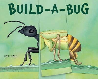 Build A Bug
