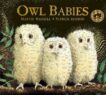 Martin Waddell | Owl Babies | 9781406374377 | Daunt Books