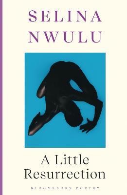 Selina Nwulu | A Little Resurrection | 9781526649980 | Daunt Books