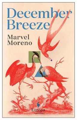 December Breeze: A Masterful Novel On Womanhood In Colombia