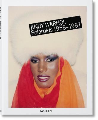 andy Warhol Polaroids 1