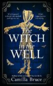 Camilla Bruce | The Witch in the Well | 9781787633414 | Daunt Books