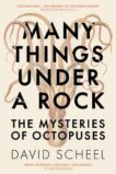 David Scheel | Many Things Under a Rock:  The Mysteries of Octopuses | 9781529392609 | Daunt Books