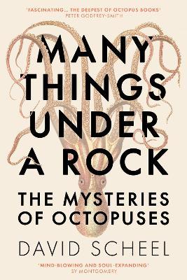Many Things Under A Rock:  The Mysteries of Octopuses