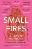 Rebecca May Johnson | Small Fires | 9781911590491 | Daunt Books