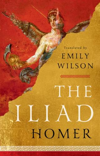 Homer | The Iliad (trans. Emily Wilson) | 9781324001805 | Daunt Books