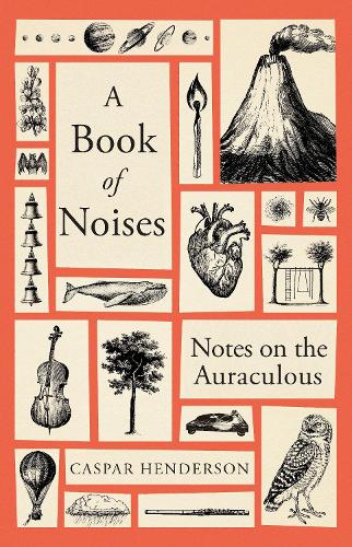 The Book of Noises: Notes On The Auraculous