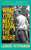 Laurent Petitmangin | What You Need From The Night | 9781529063523 | Daunt Books